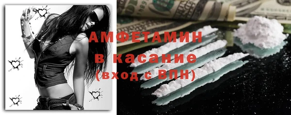 шишки Белоозёрский
