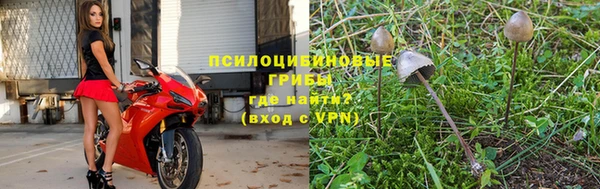 тгк Балахна