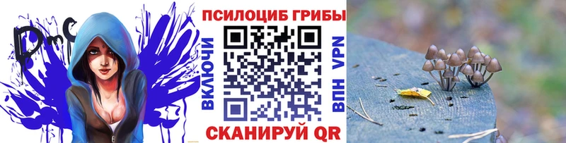 Галлюциногенные грибы мухоморы Ясногорск
