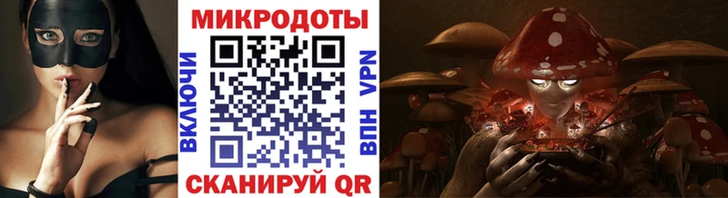 Псилоцибиновые грибы мицелий Ясногорск